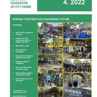 EFCF Newsletter 4-2022